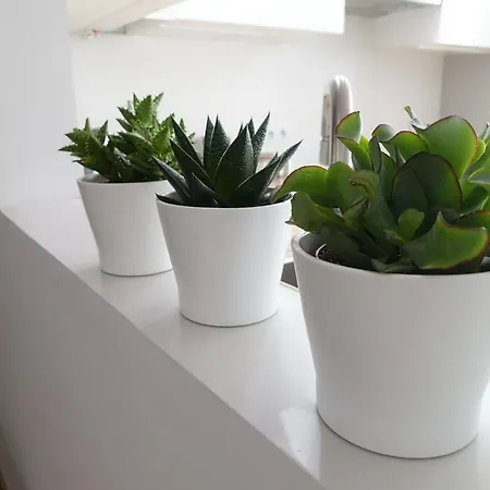 דירה Three קרקוב