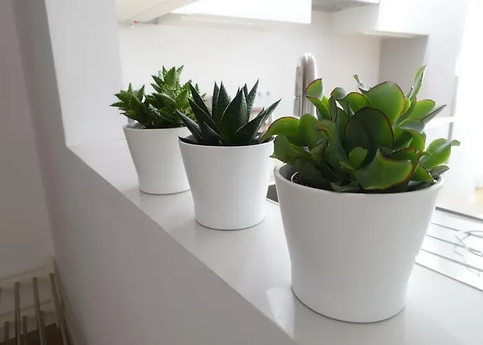 公寓 Three 克拉科夫